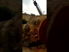 mesin crosscut kayu besar slasher gergaji rantai