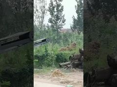 mesin penghapus kulit pohon/penghapus kulit kayu