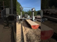 Gergaji pita tugas berat