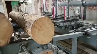 Penggergajian Pita Vertikal dengan Pengangkut Log Hidraulik -pegangan log pneumatik