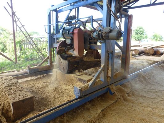 Heavy Duty Electric Double Saw Blade Angle Sawmill DS1300 Portable Wood Circular Saw Machine