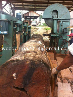 CNC Log Vertical Band Sawmill 1500mm Woodworking Saw Machine