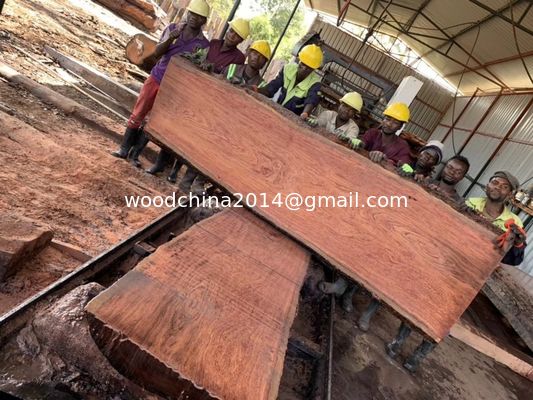 40' MJ1000 Diesel Portable Sawmill untuk Pengolahan Kayu di Daerah Terpencil