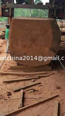Otomatis Besar Bandsaw Mill MJ2500 Mesin Pemotong Kayu gergaji,MJ 2500 Kayu Saw Machine Mesin Pemotong Kayu
